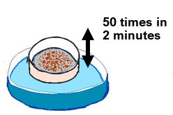 Aggregates wash rhythm ENG