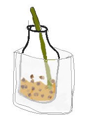 Breaking Clods stick POM method