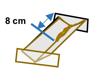 Evaluation Channel POM