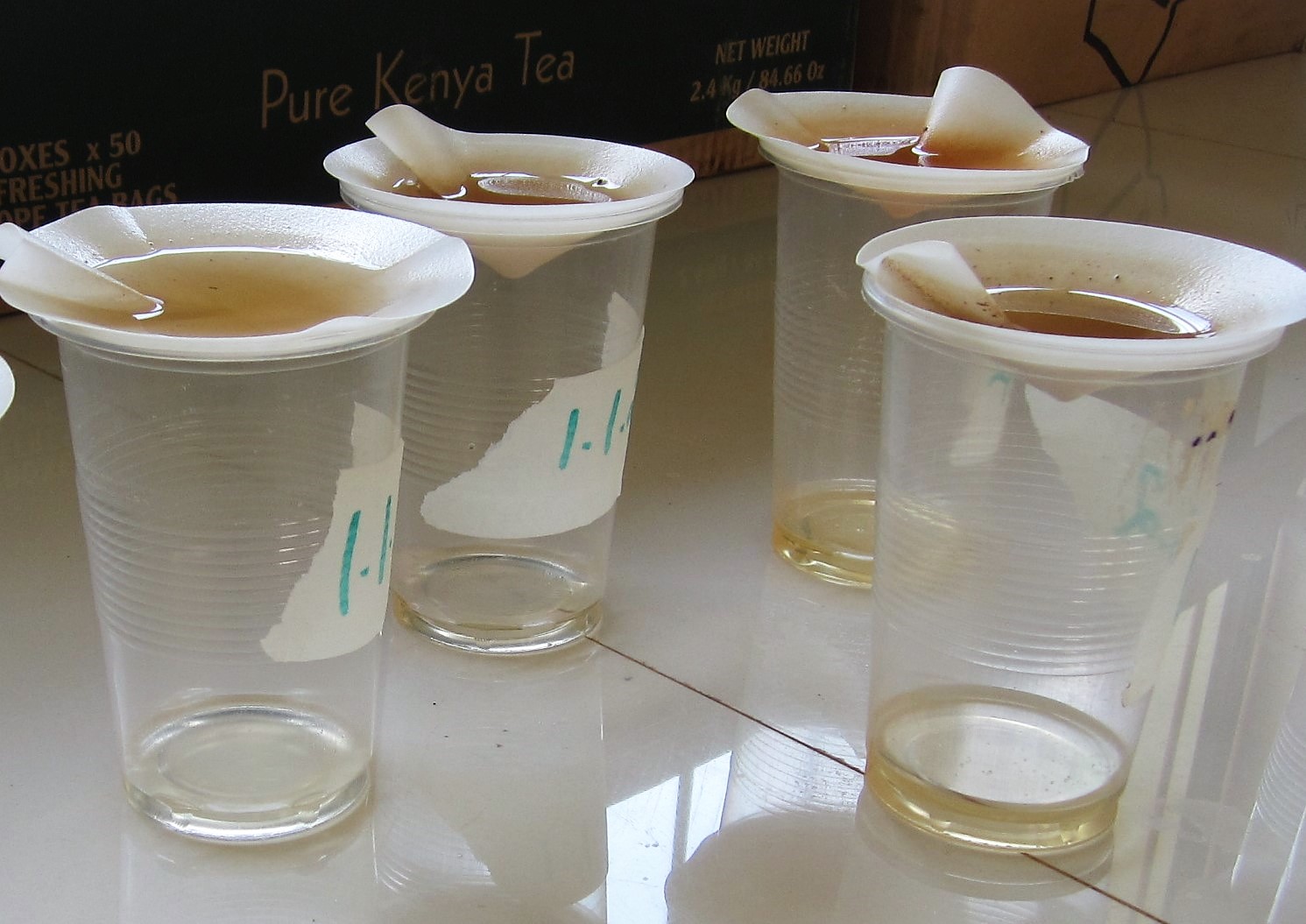 Funnel Filtering Kenya MPlegumes