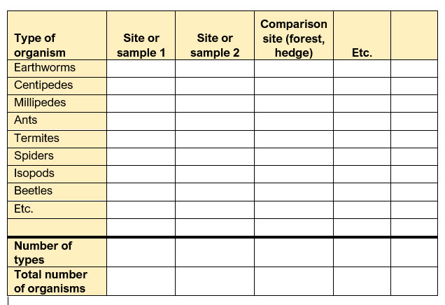 Macrofauna table ENG