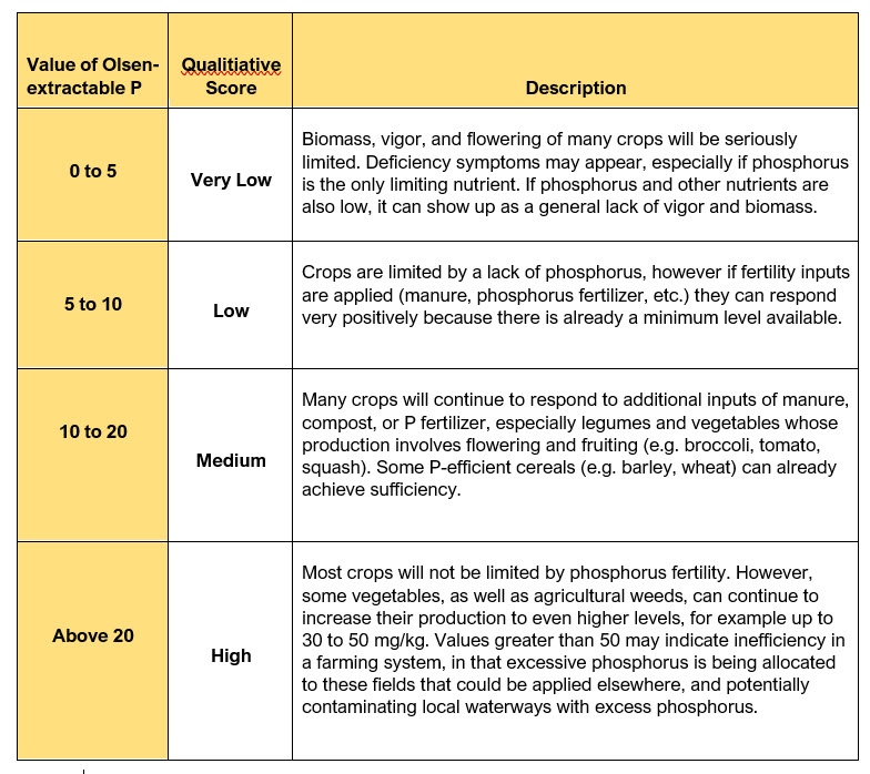 Table interpretation OlsenP ENG